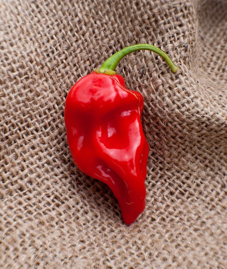 Product image #1