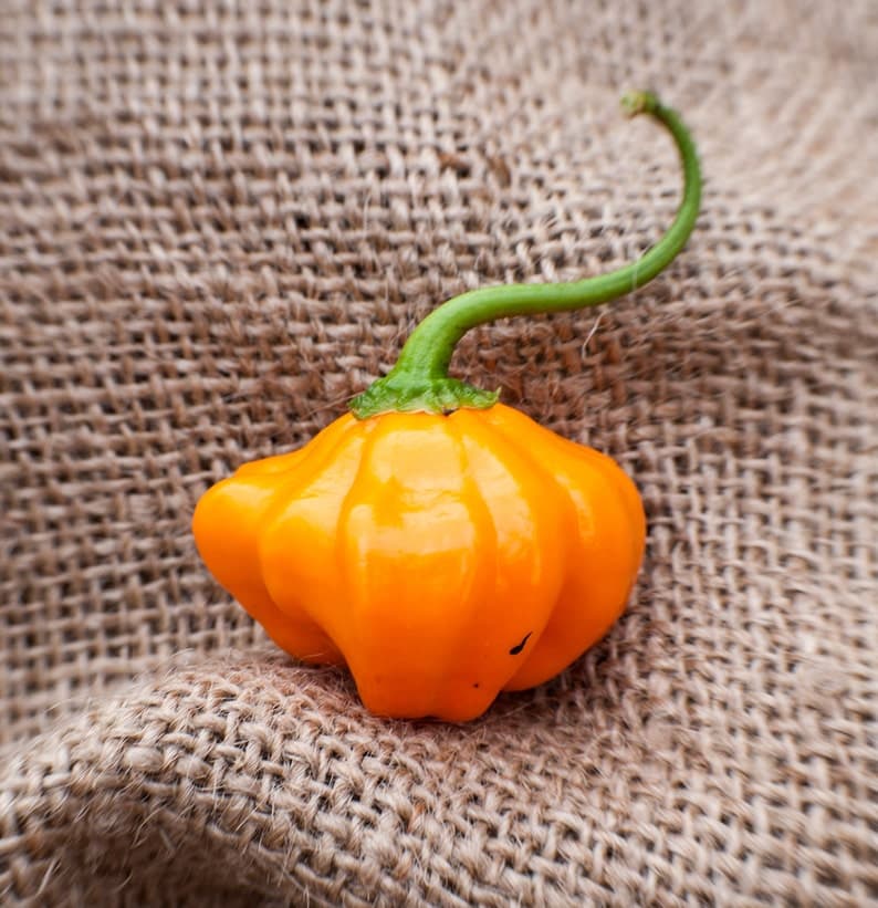 Product image #2