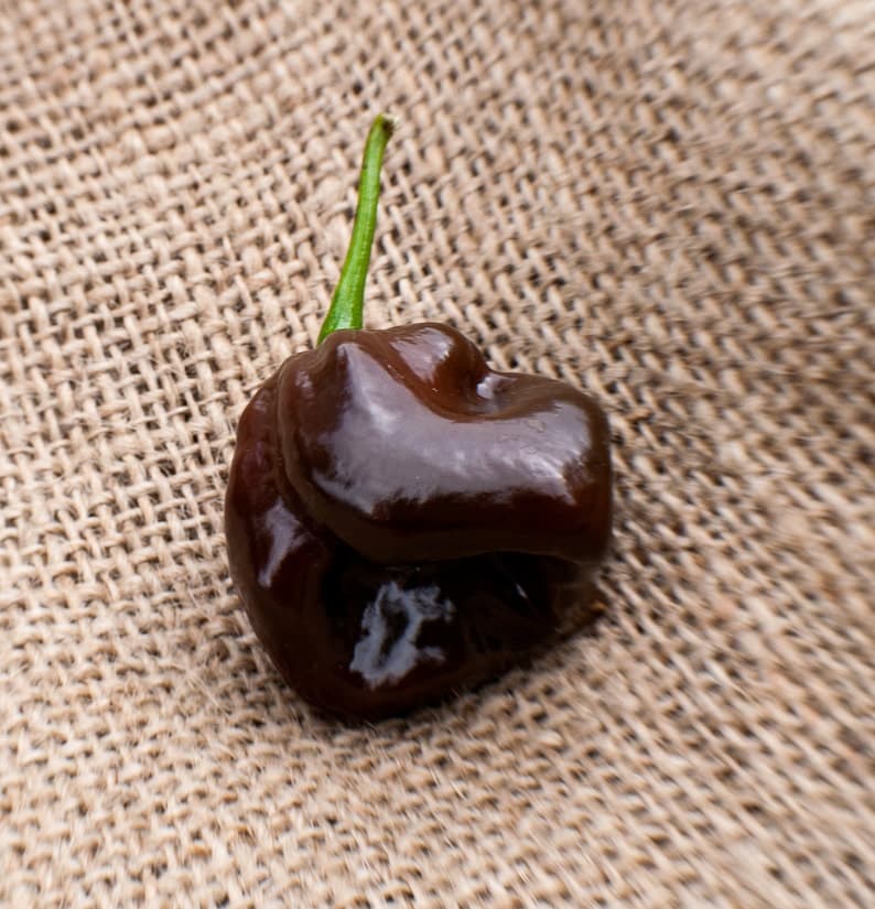 Product image #4