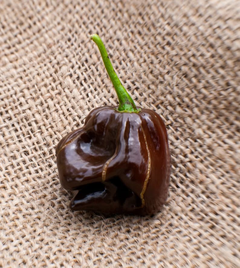 Product image #3