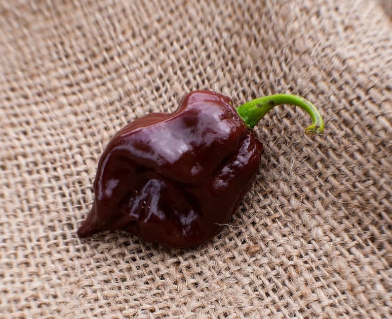 Product image #2
