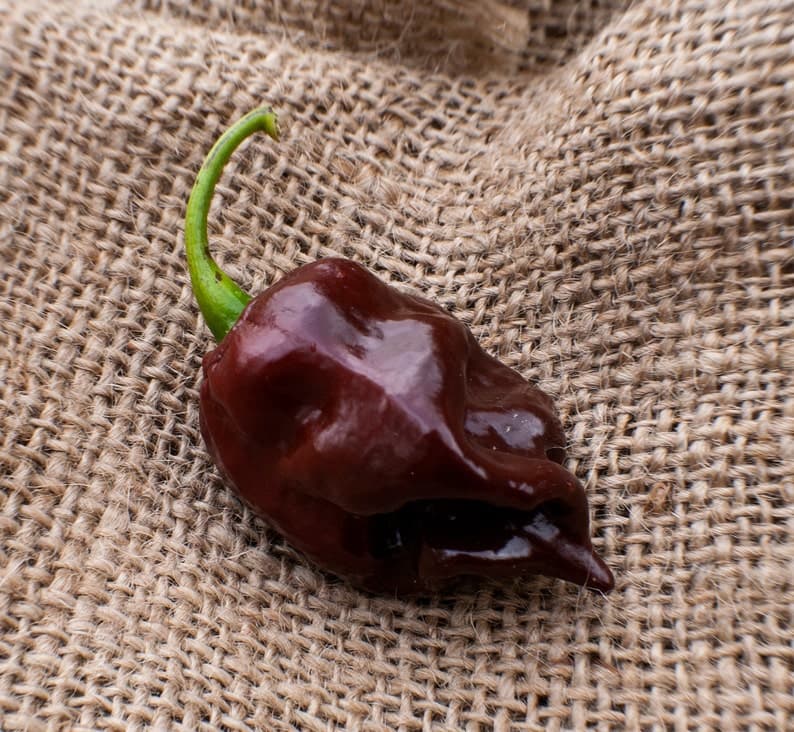 Product image #1