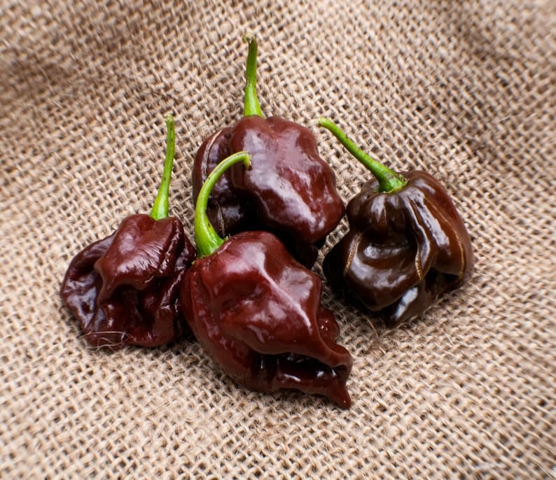 Product image #5