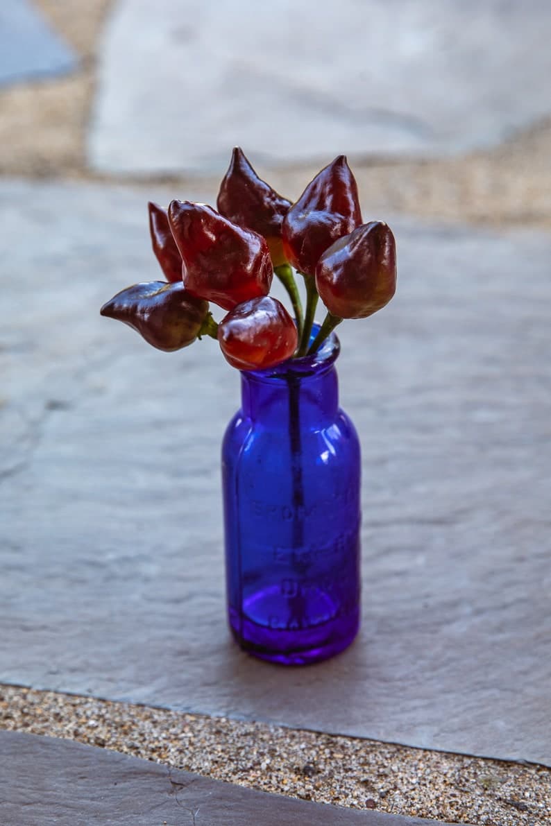 Product image #4