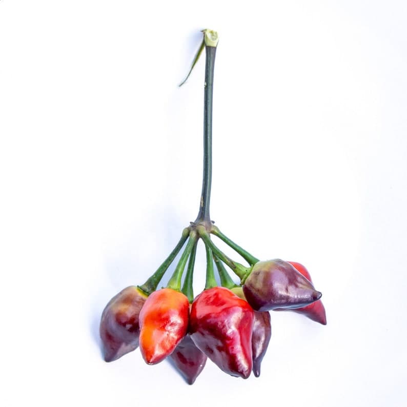 Product image #1