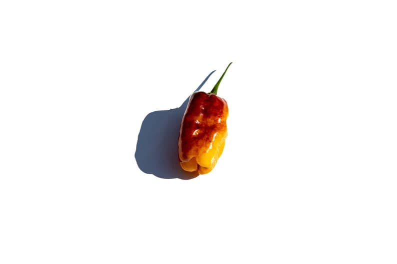 Product image #2