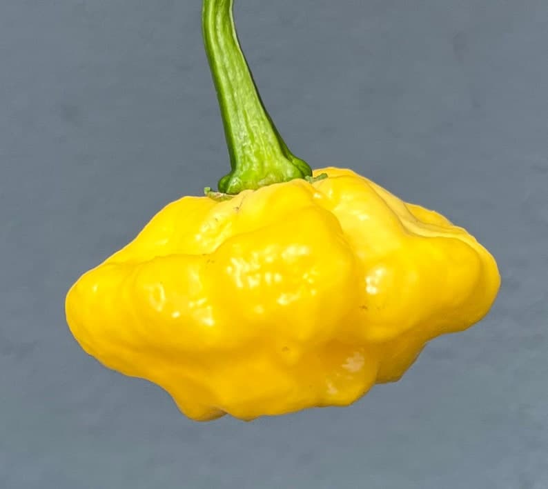 Product image #2