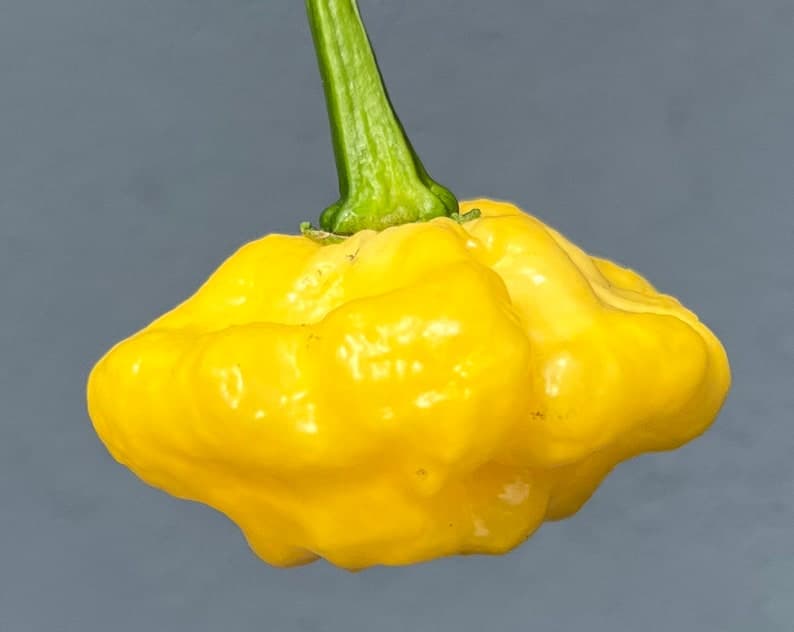 Product image #1
