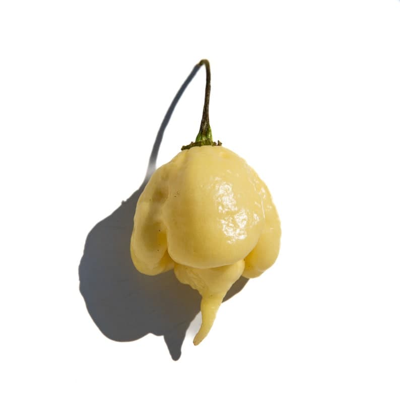 Product image #1