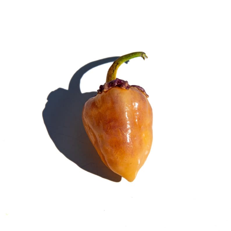 Product image #1