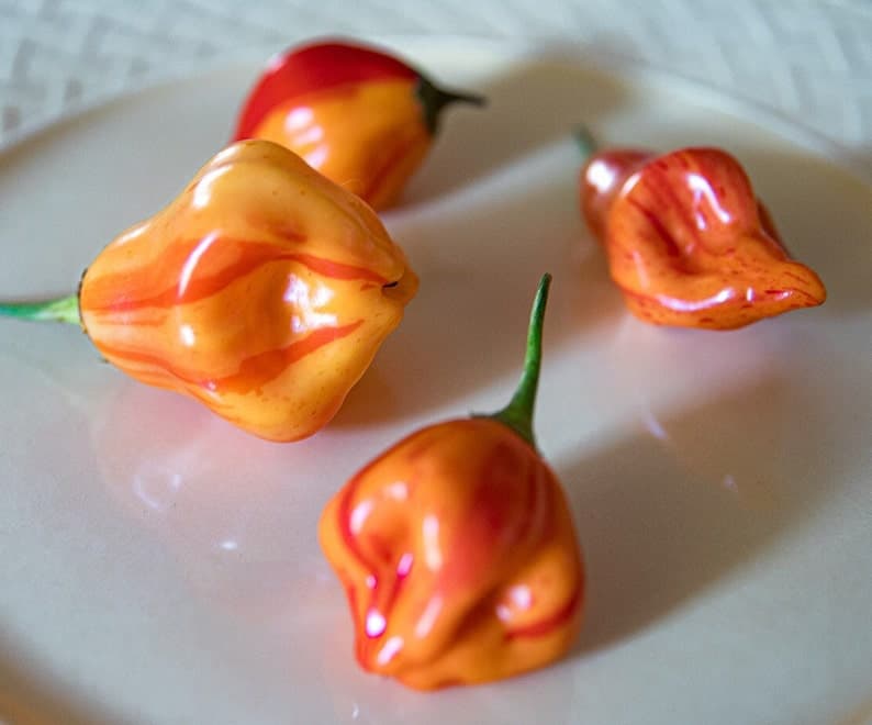 Product image #1