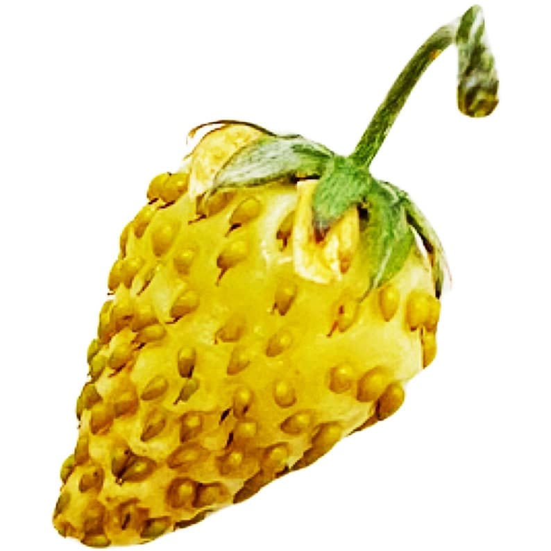 Product image #1