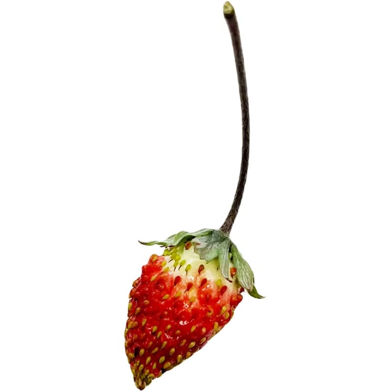 Product image #1