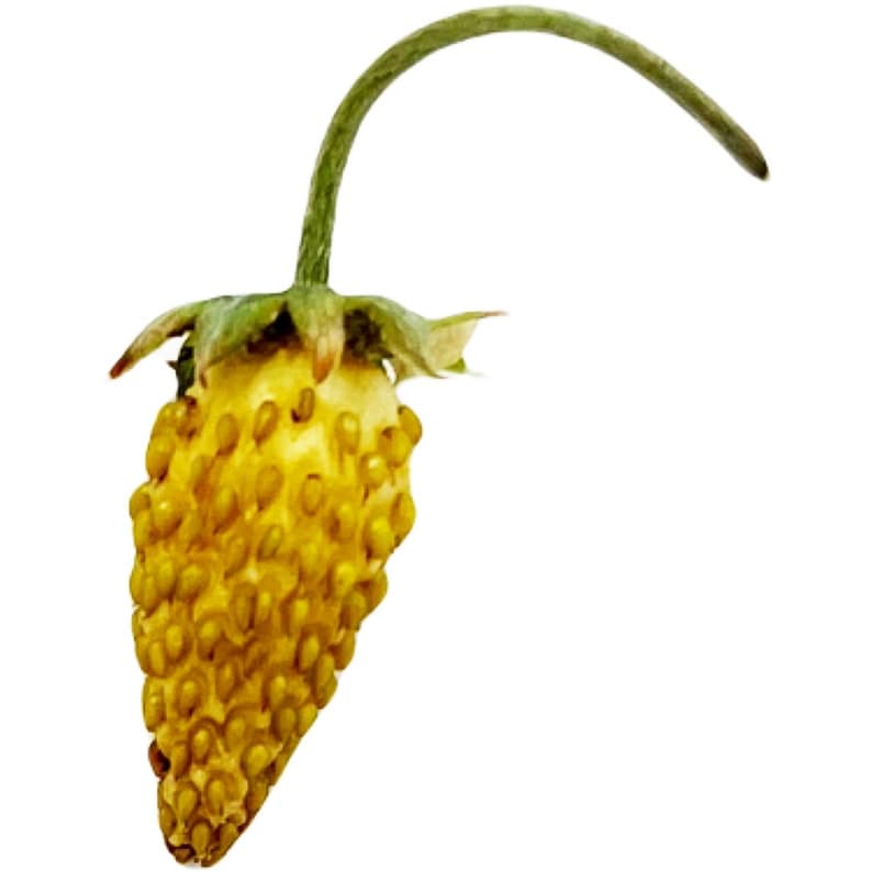 Product image #1