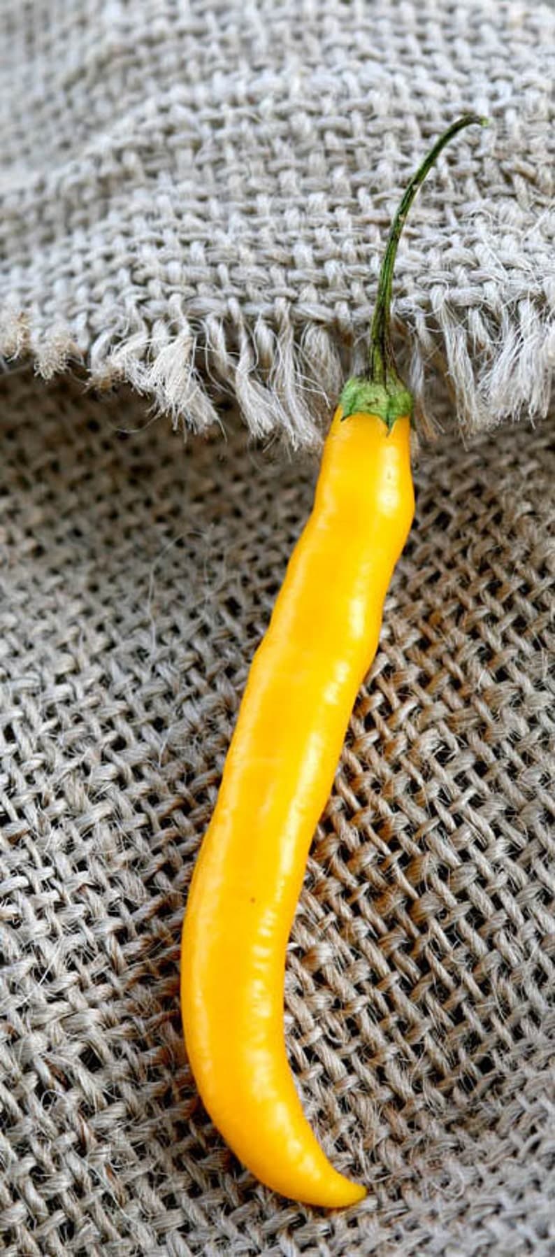 Product image #2