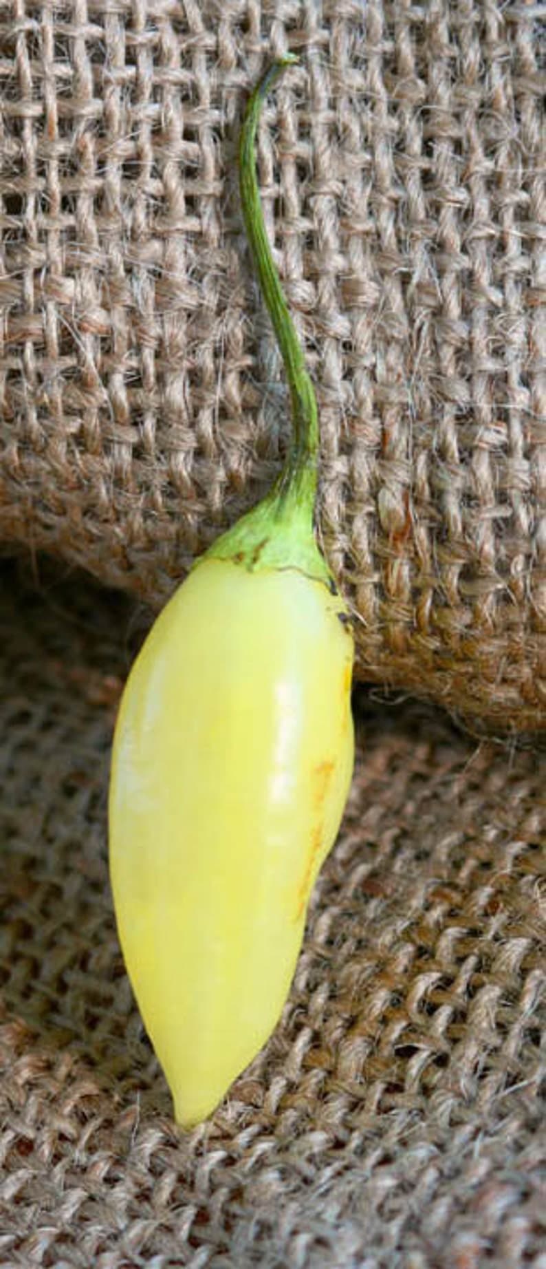 Product image #2
