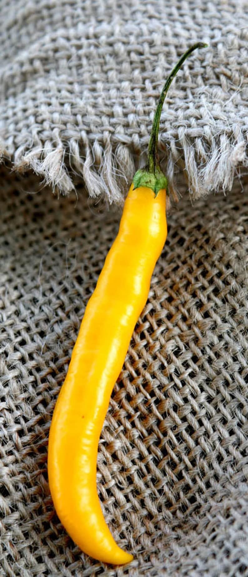 Product image #3