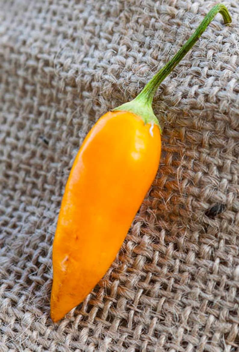 Product image #3