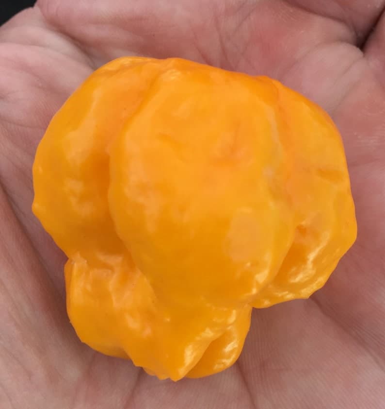 Product image #1