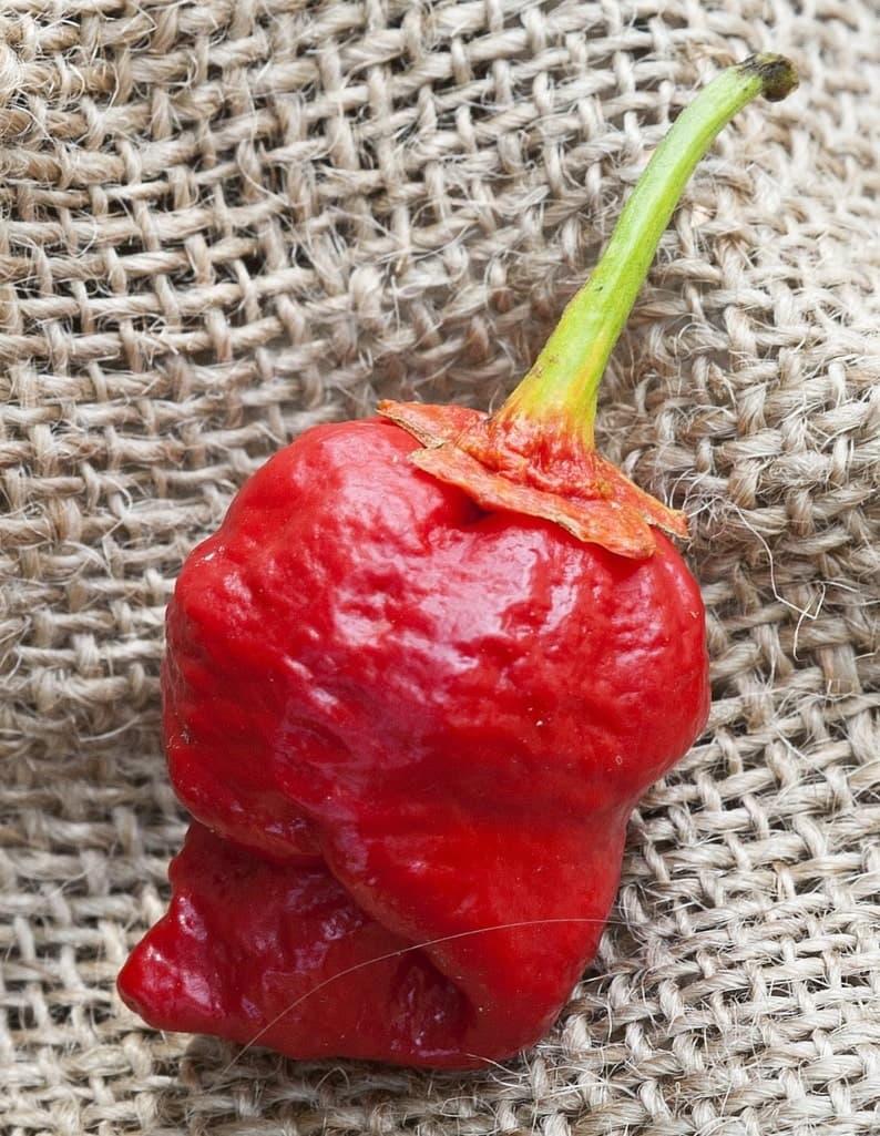 Product image #1