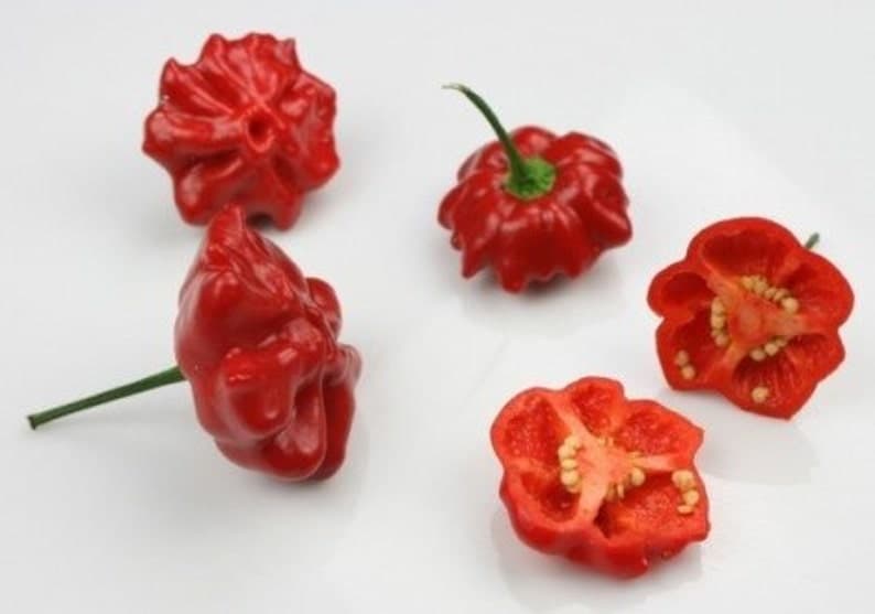 Product image #1