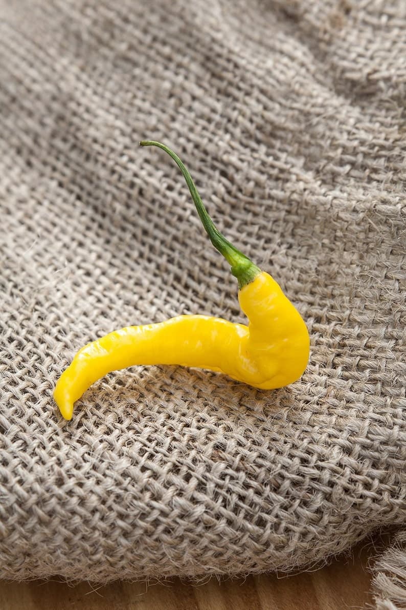 Product image #1