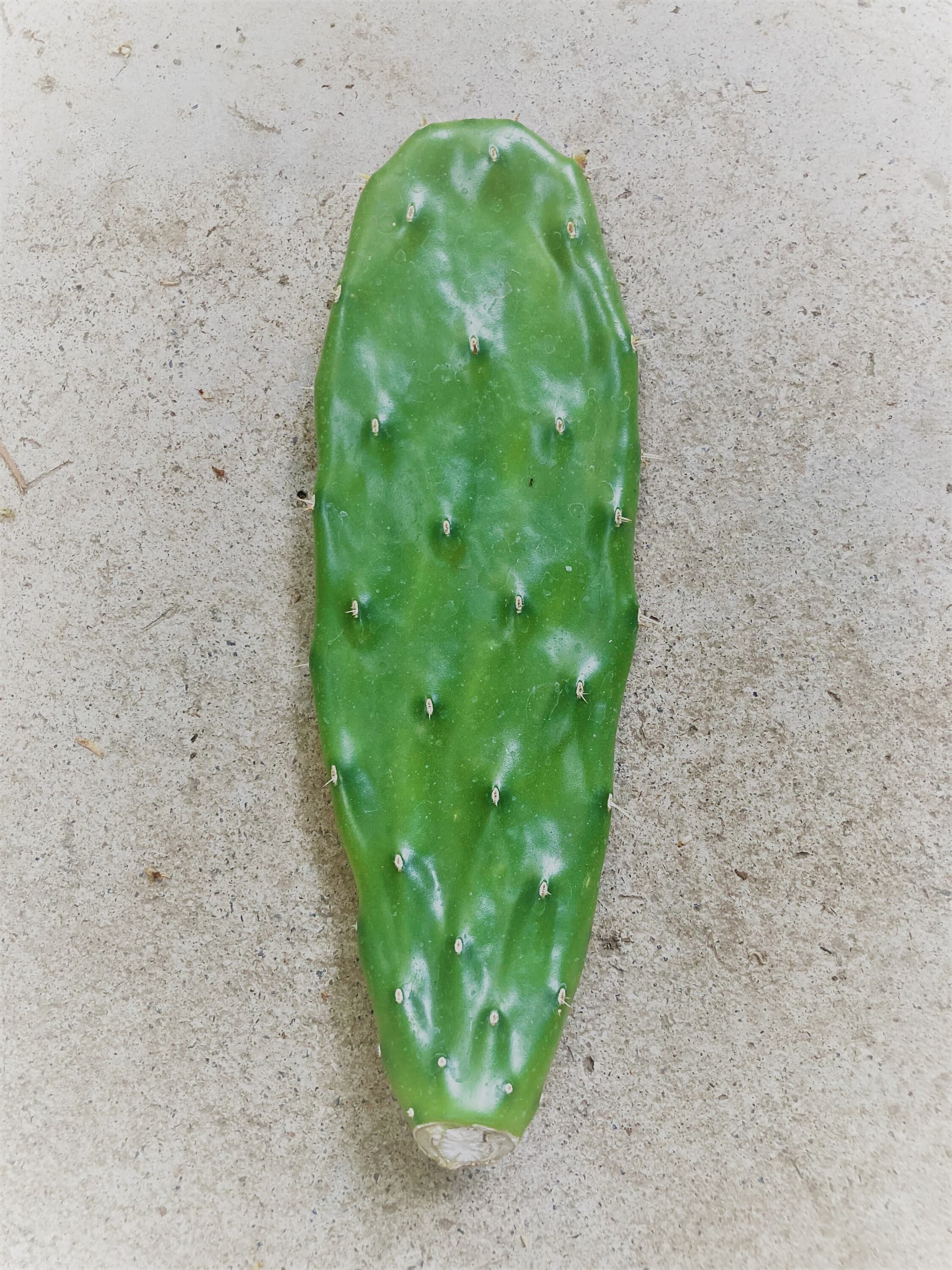 Product image #1