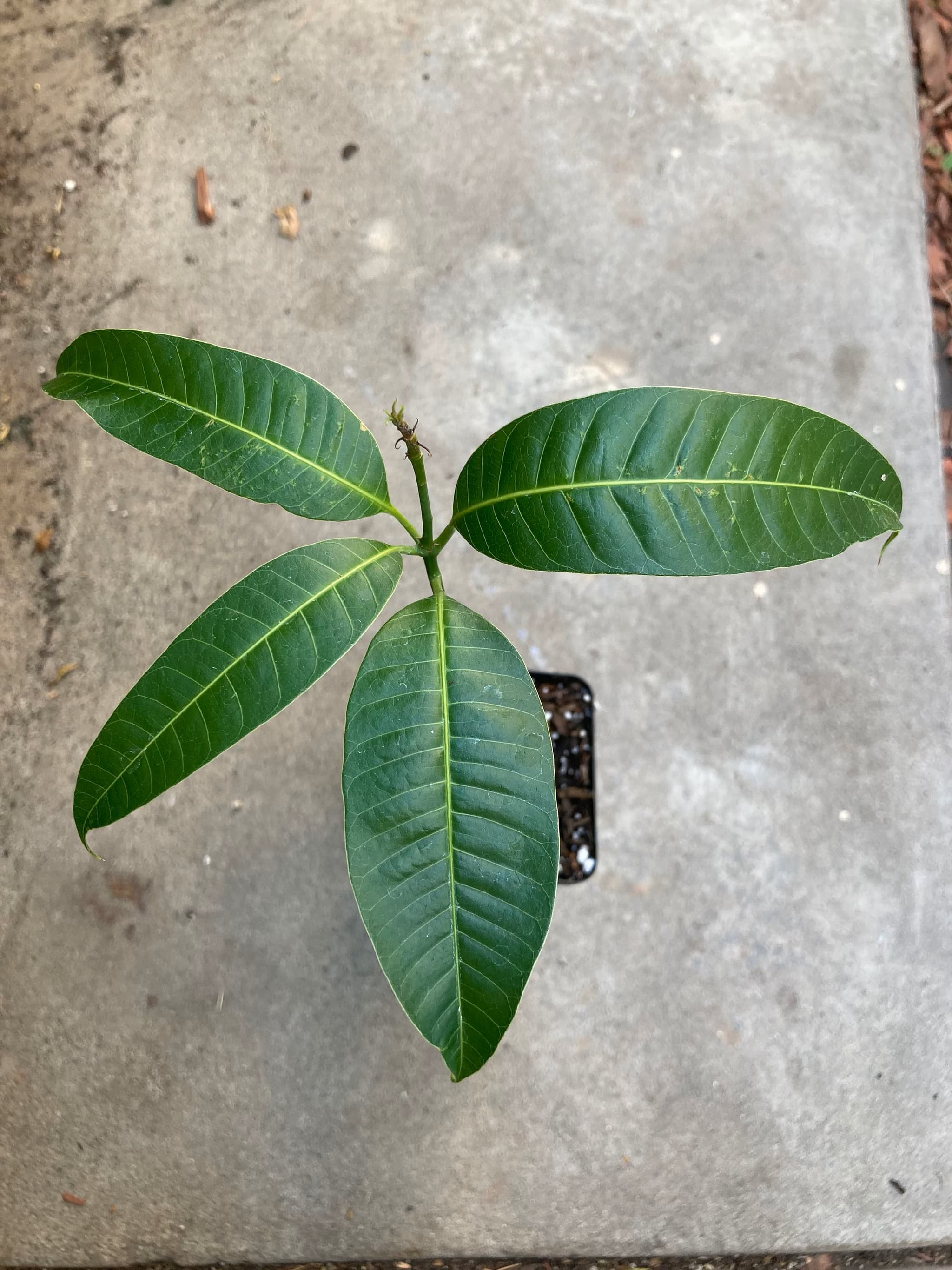 Product image #2