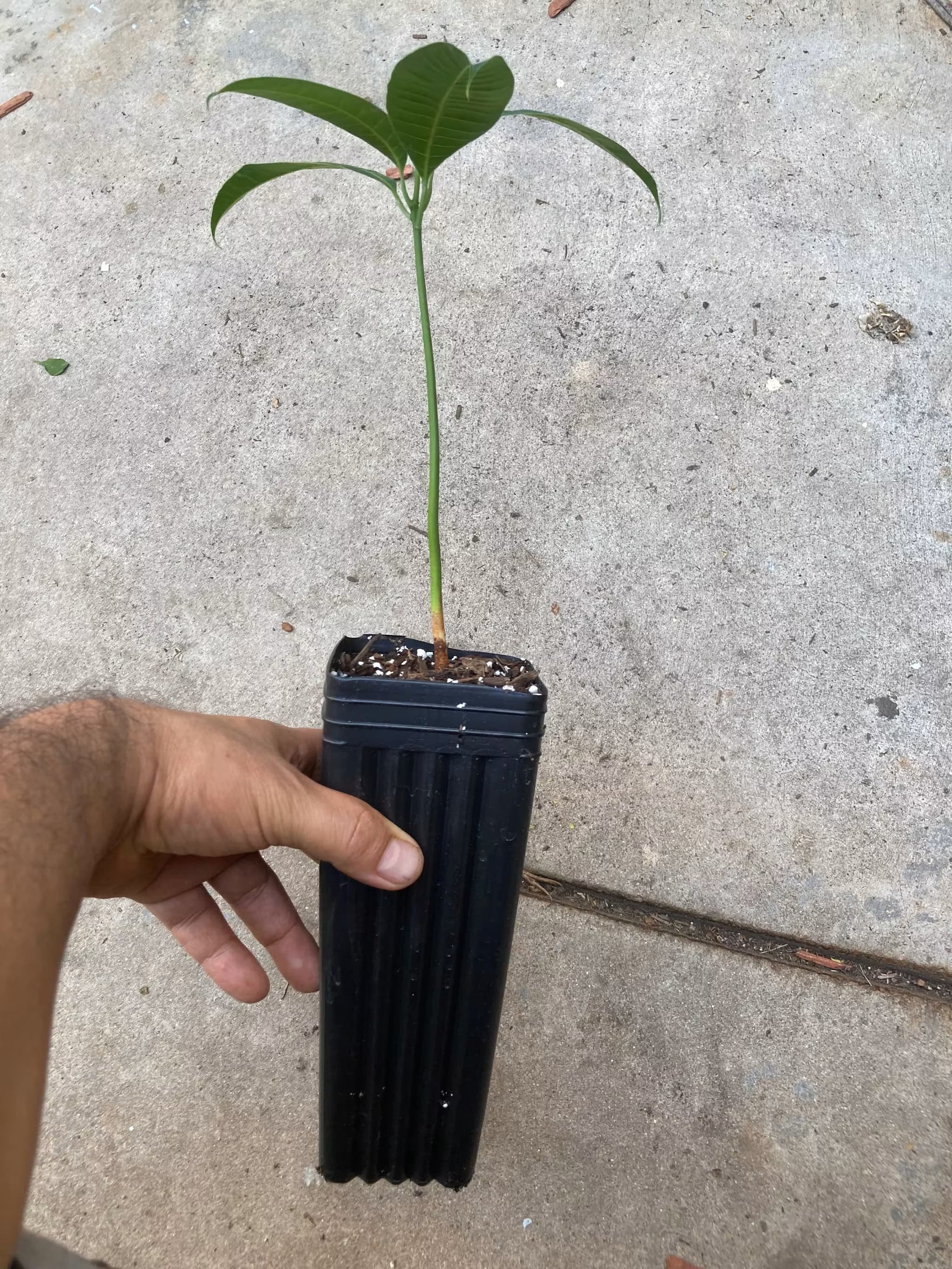 Product image #3