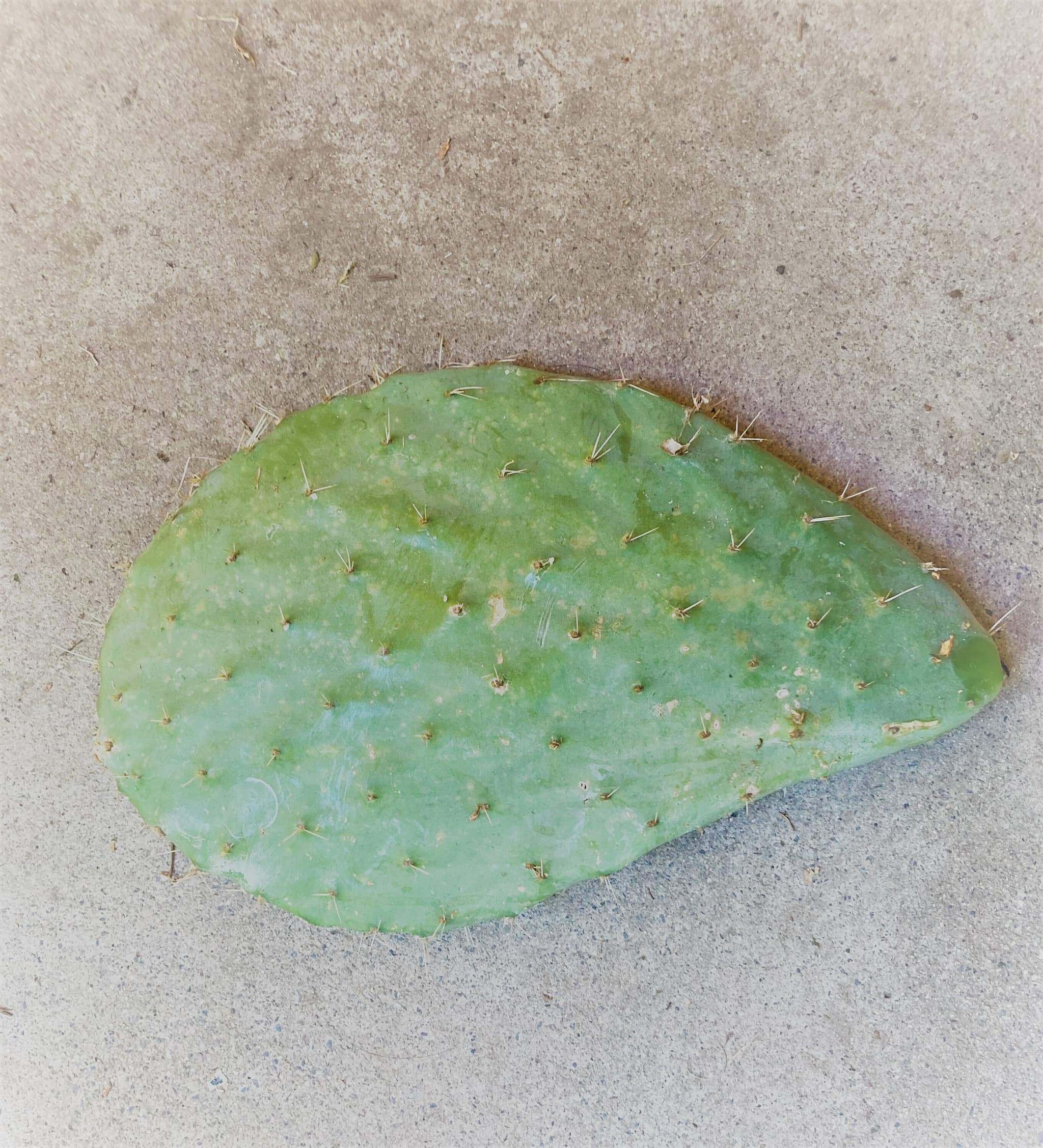 Product image #1