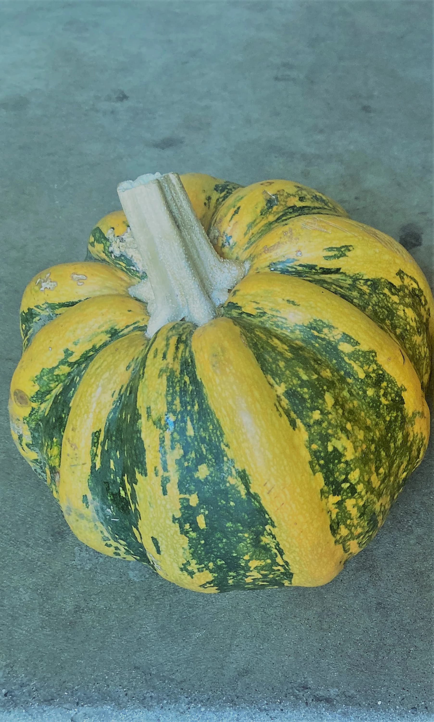 Product image #1