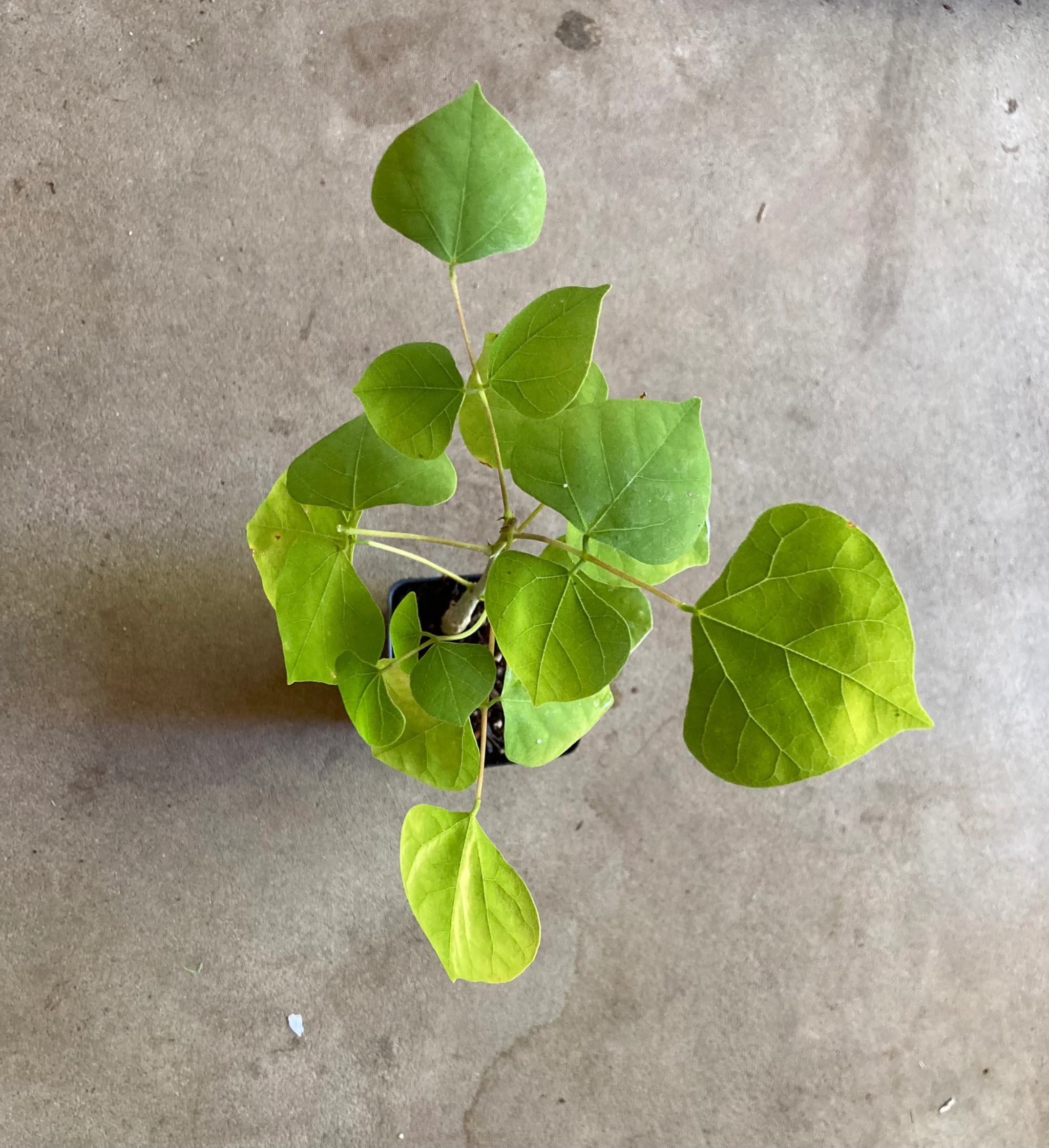 Product image #2