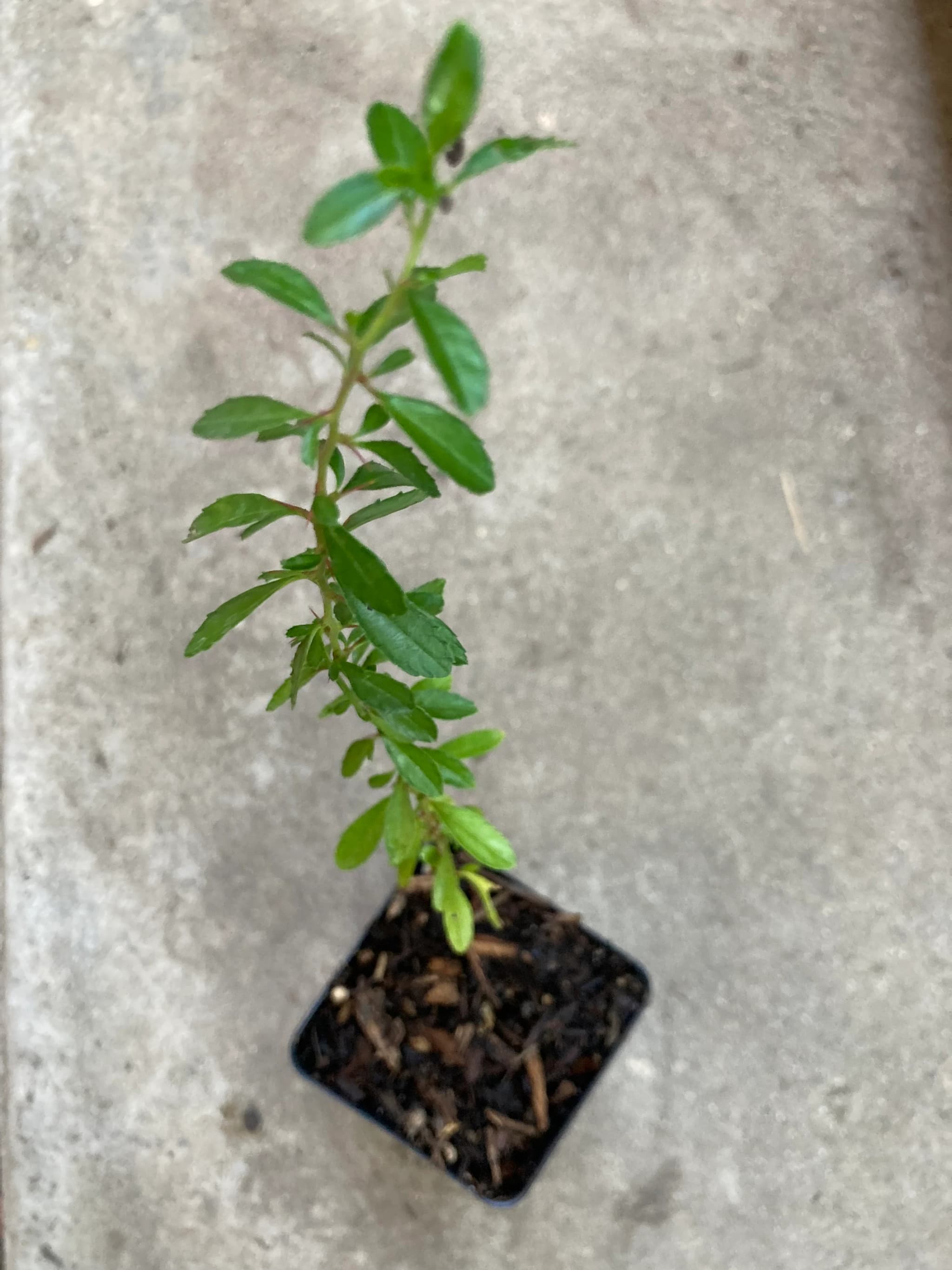 Product image #3