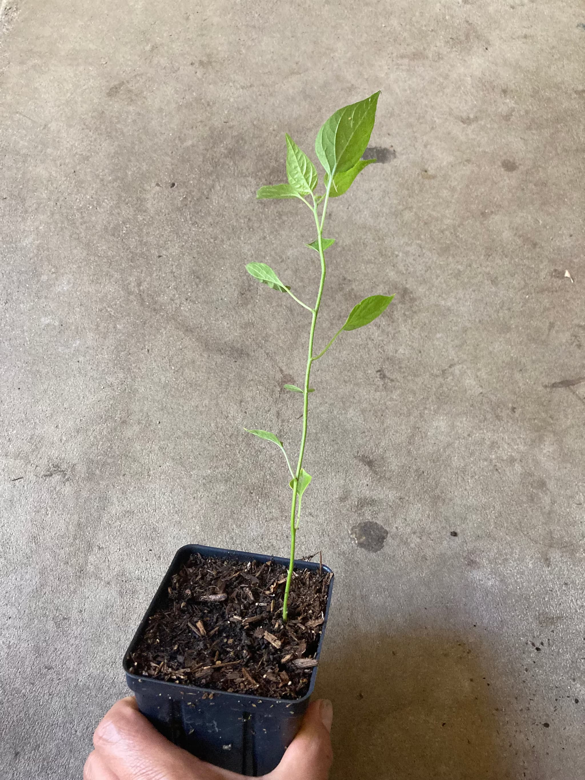 Product image #3