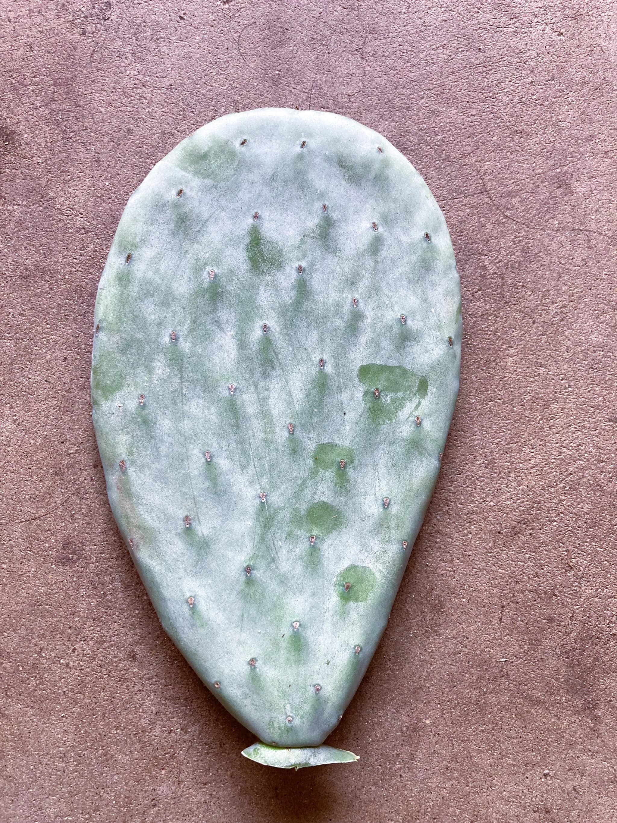 Product image #3
