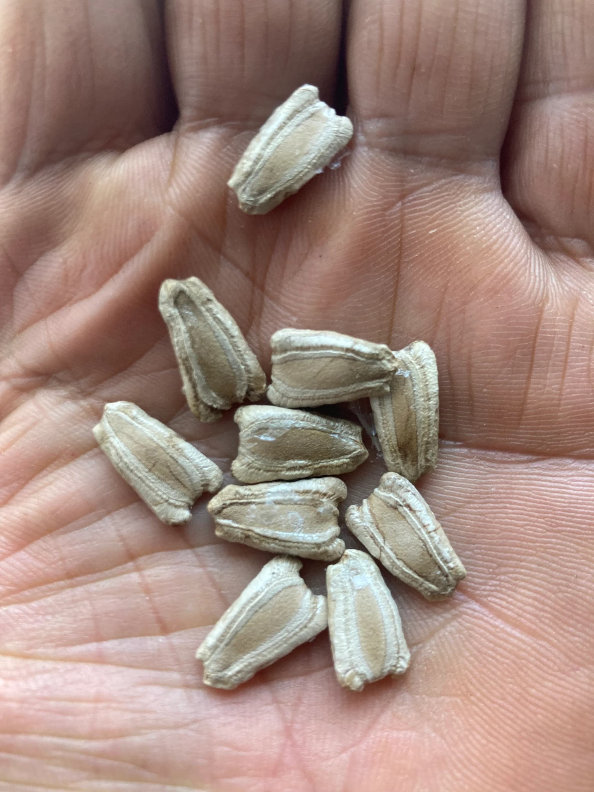 Product image #1