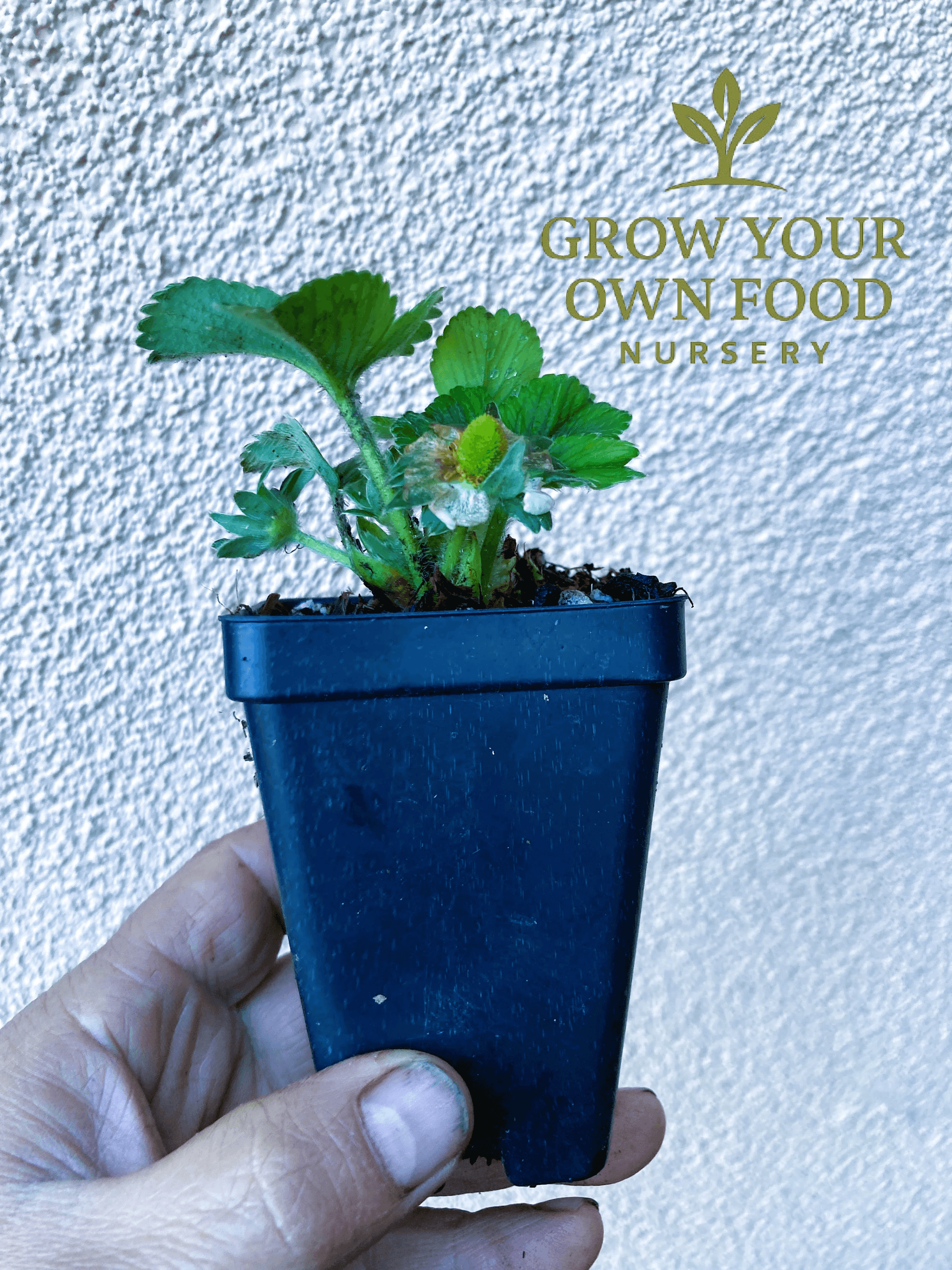 Product image #2