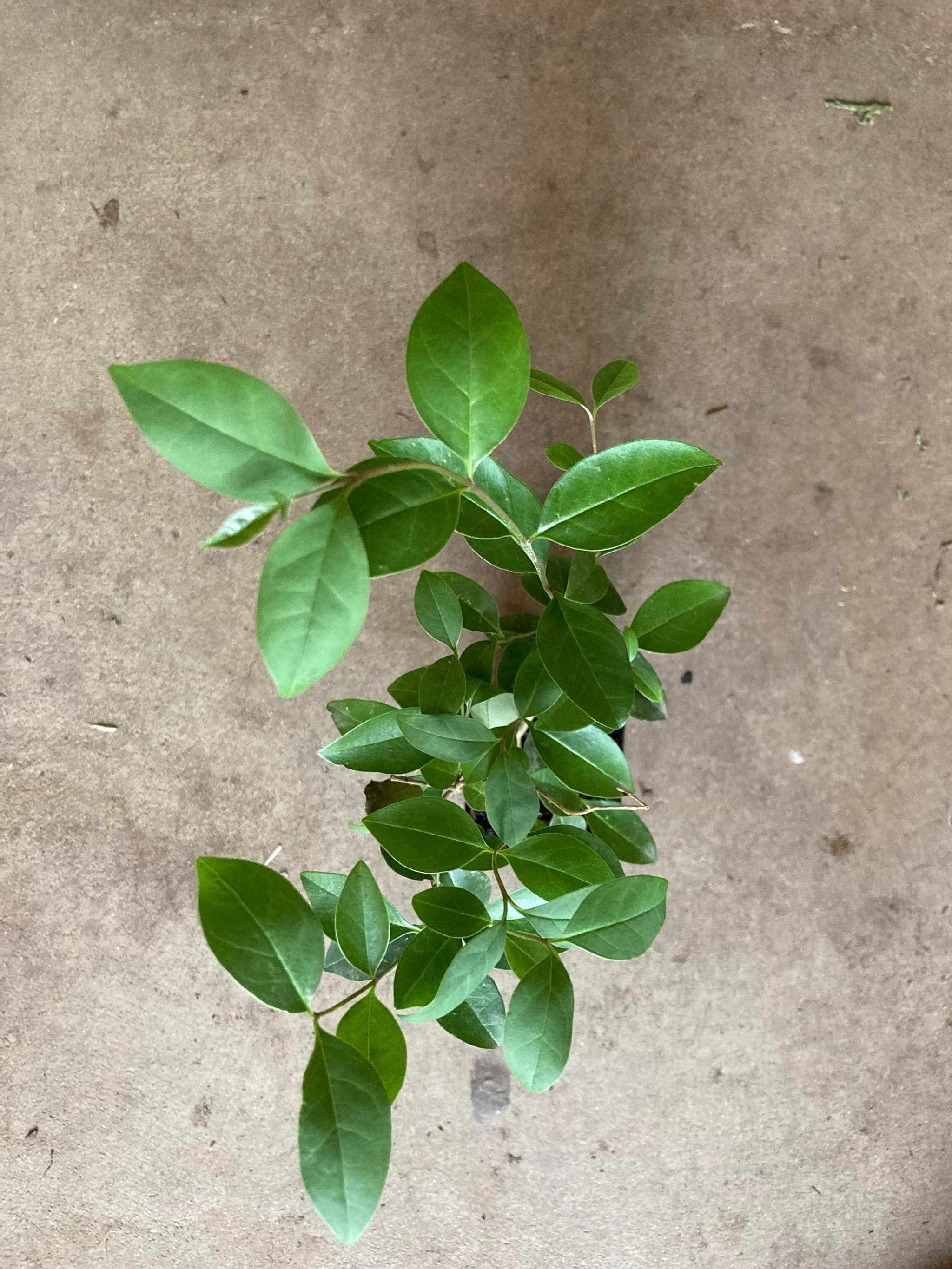 Product image #3