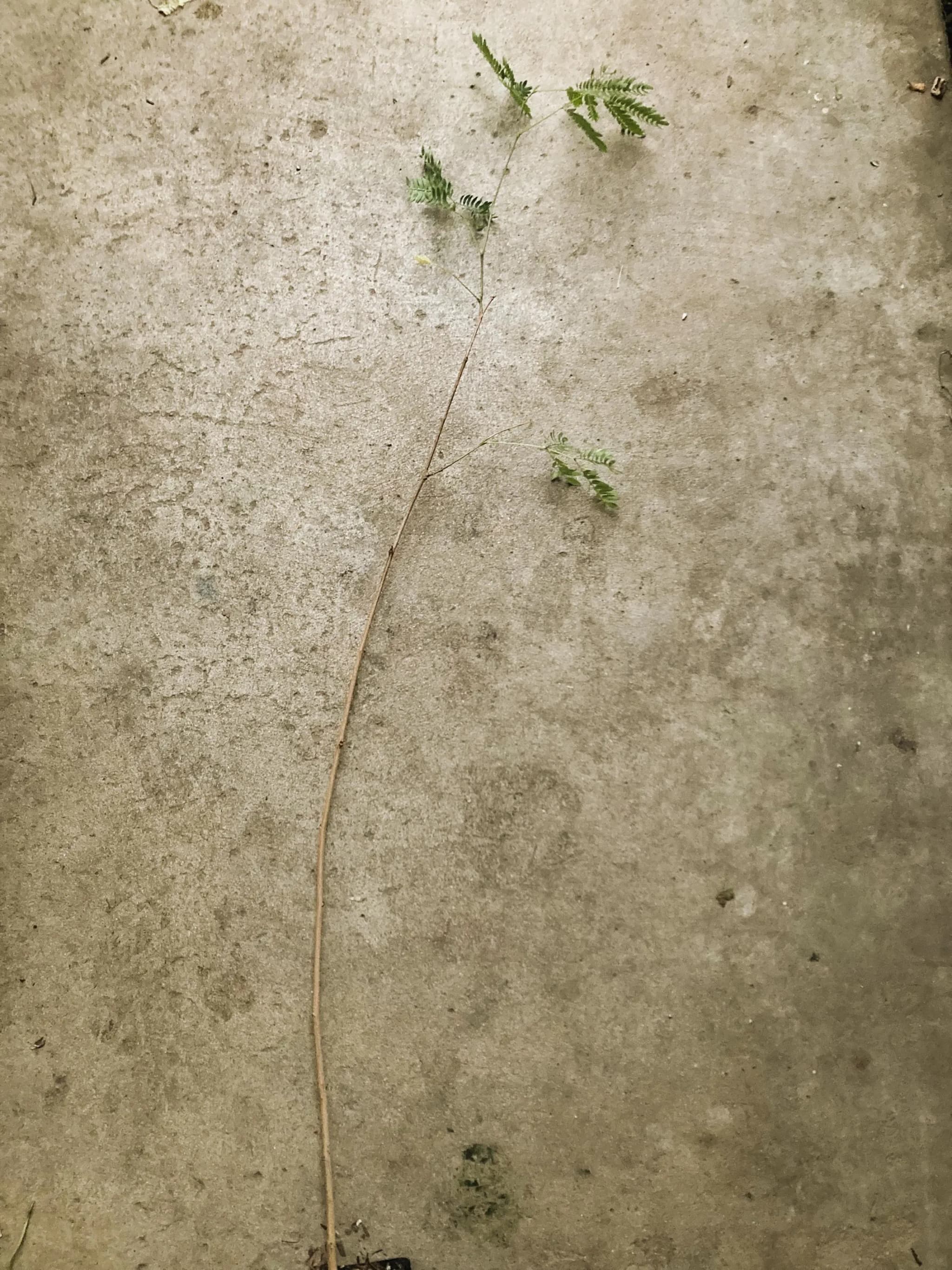 Product image #3