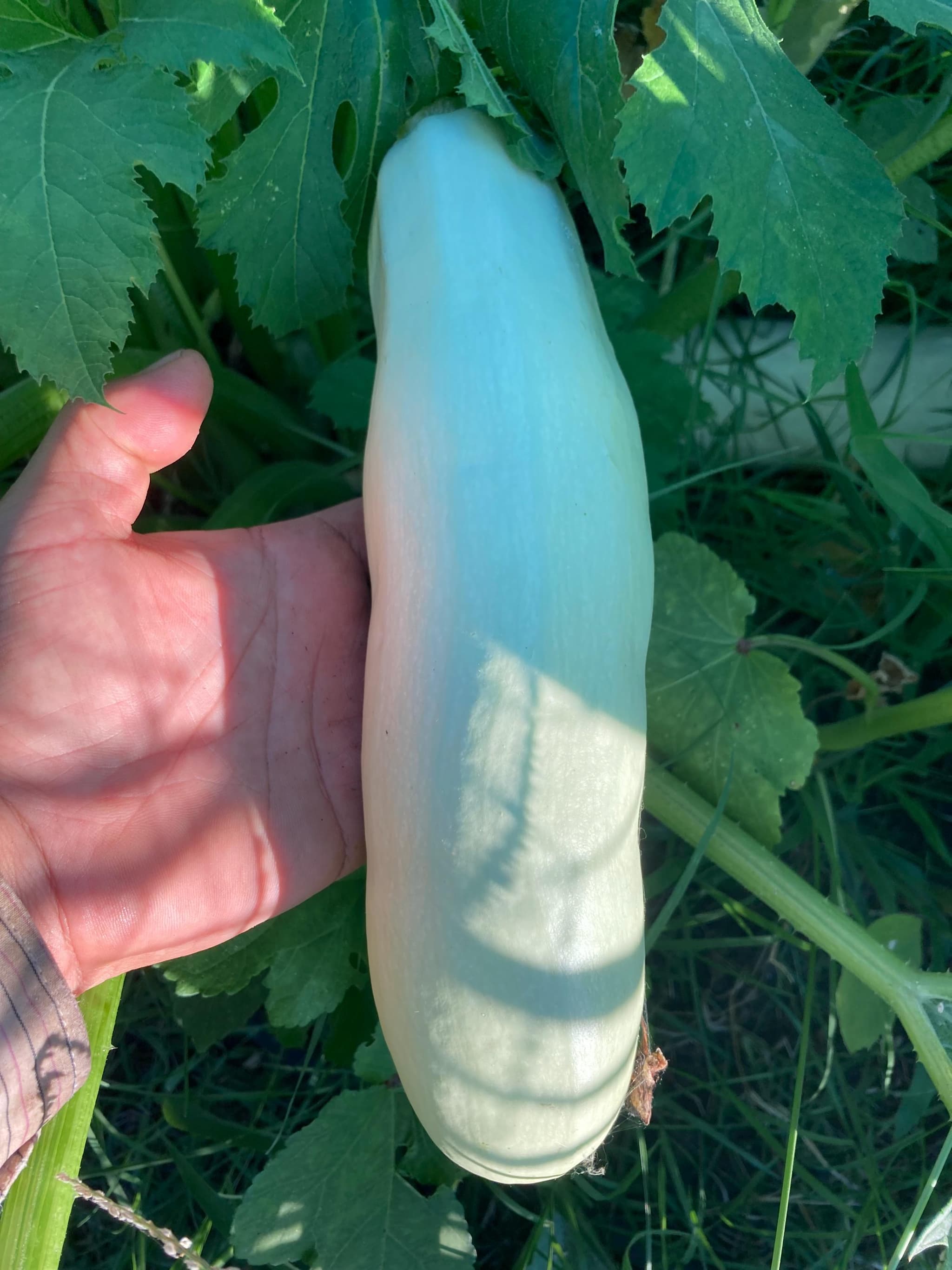 Product image #3