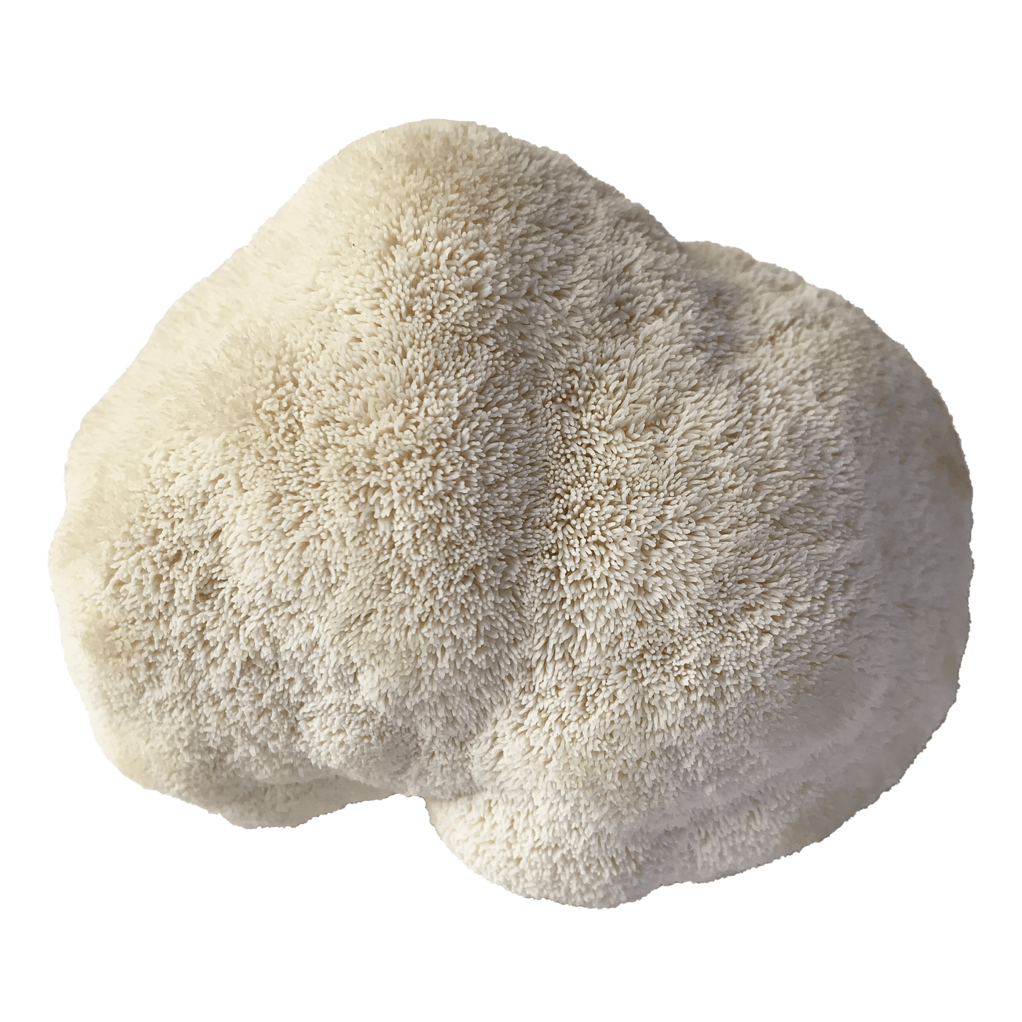 Product image #2