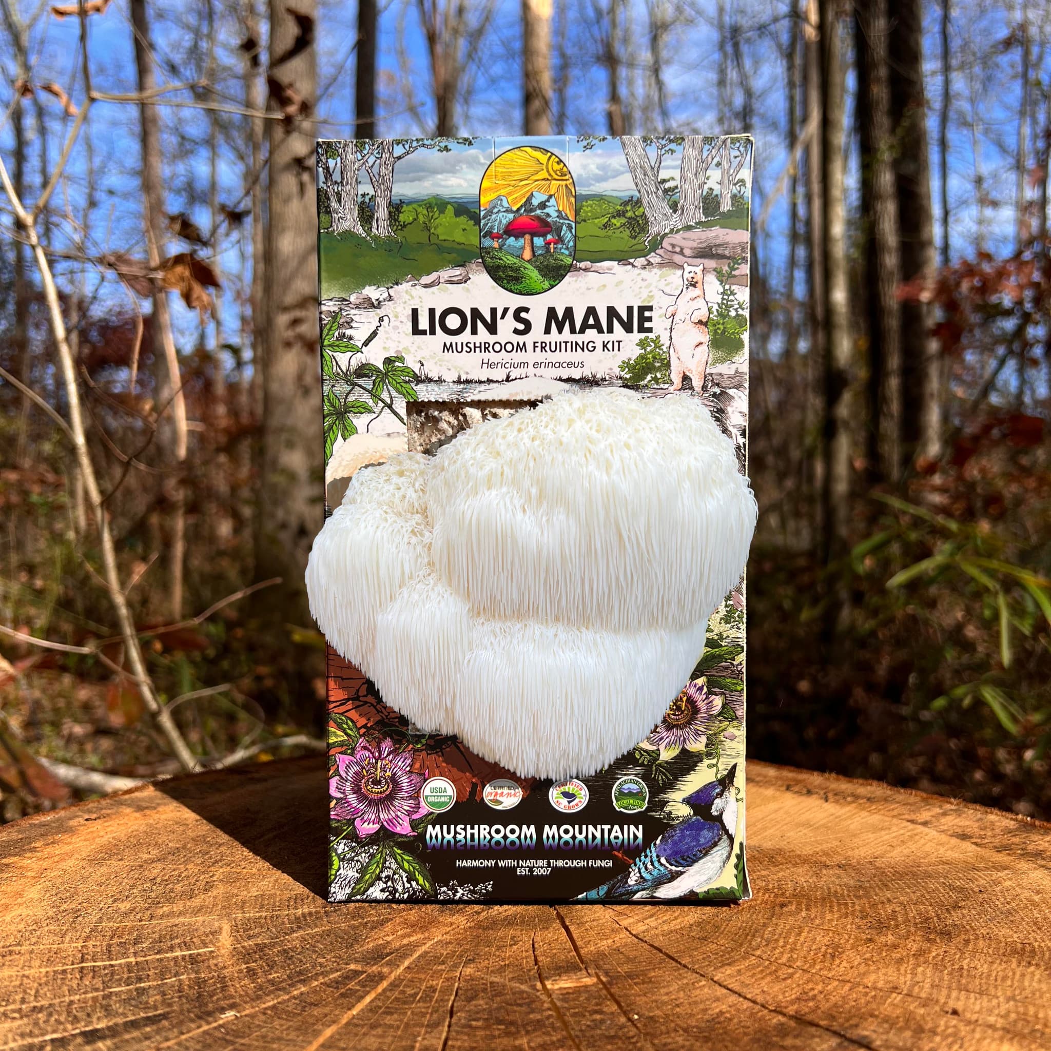 Product image #1