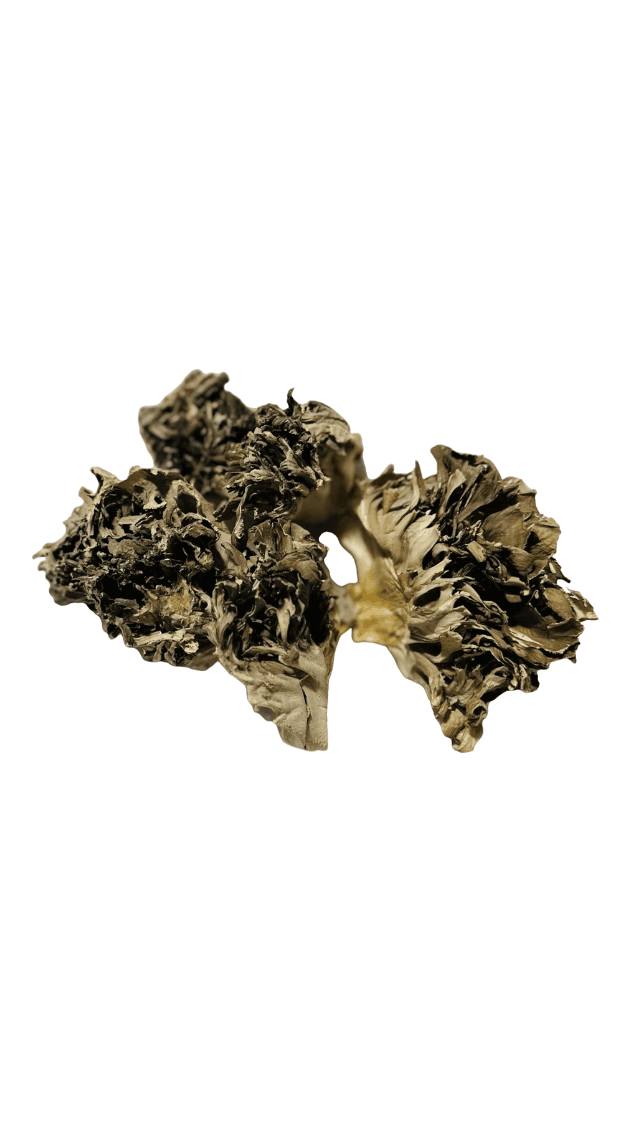 Product image #1