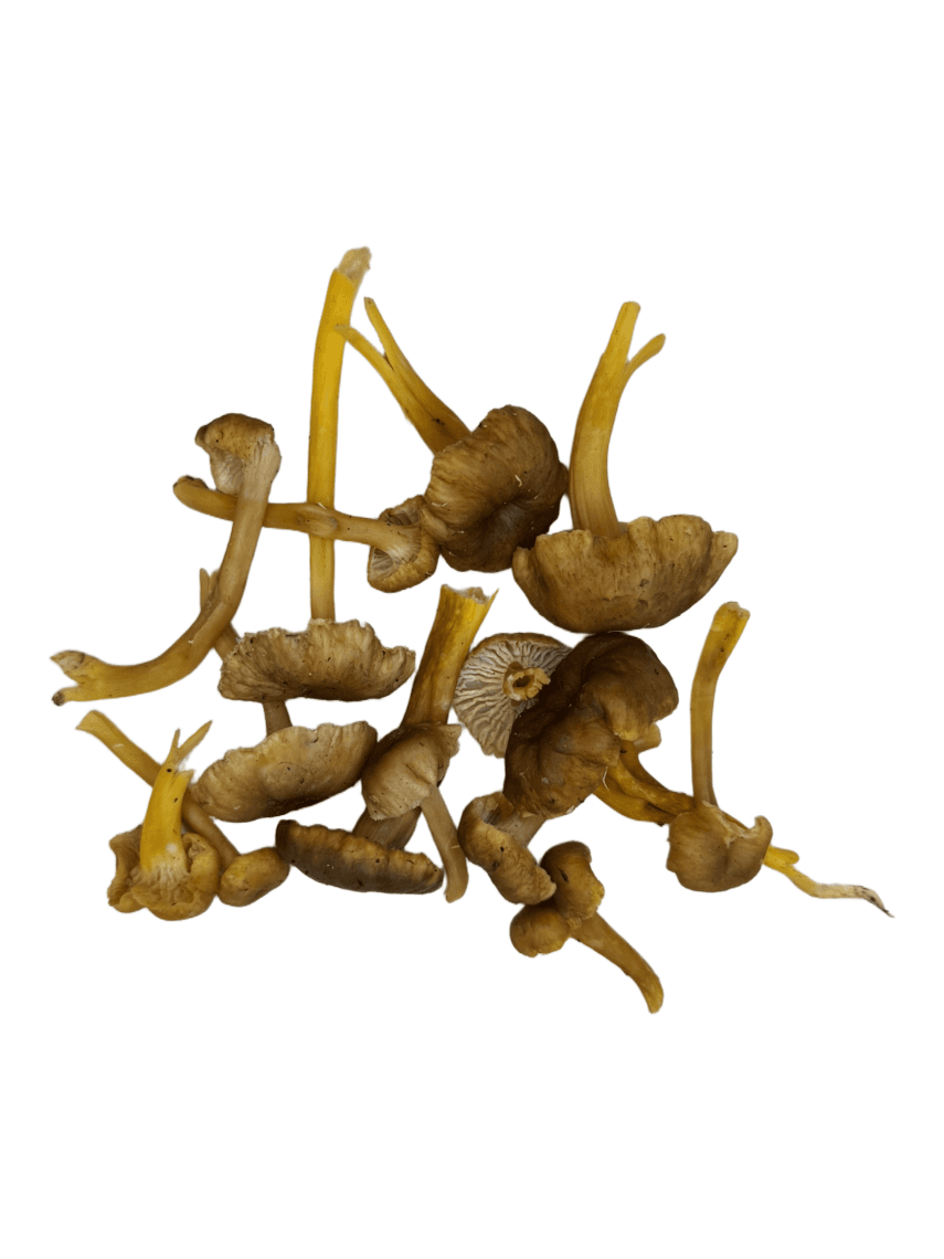 Product image #1