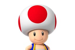 Grace's Mushrooms