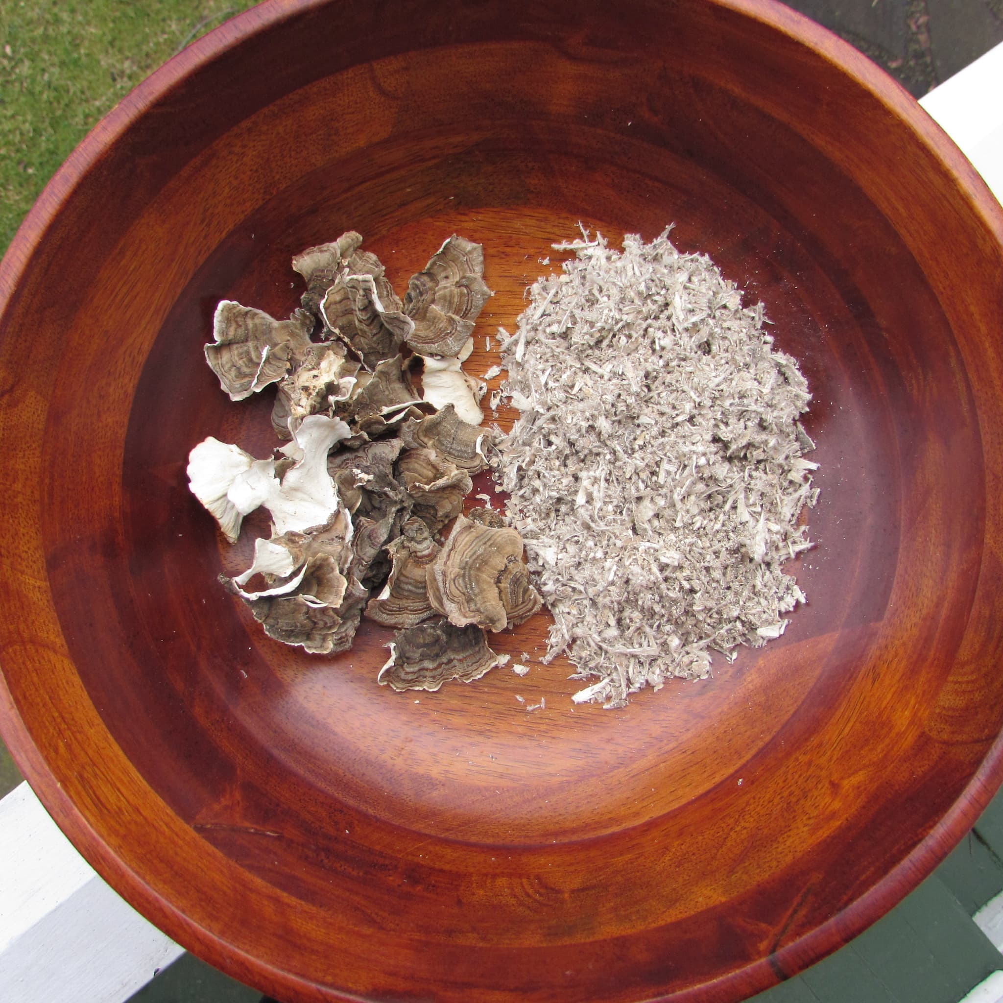 Wild 100% Turkey Tail Mushroom in Ground Form