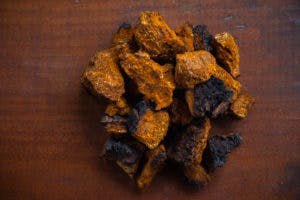CHAGA TEA – EVERYTHING YOU NEED TO KNOW TO MAKE IT