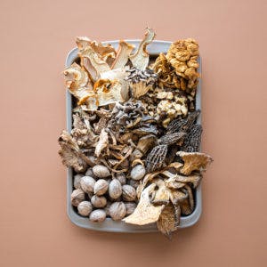 HOW TO COOK WITH DRIED WILD MUSHROOMS