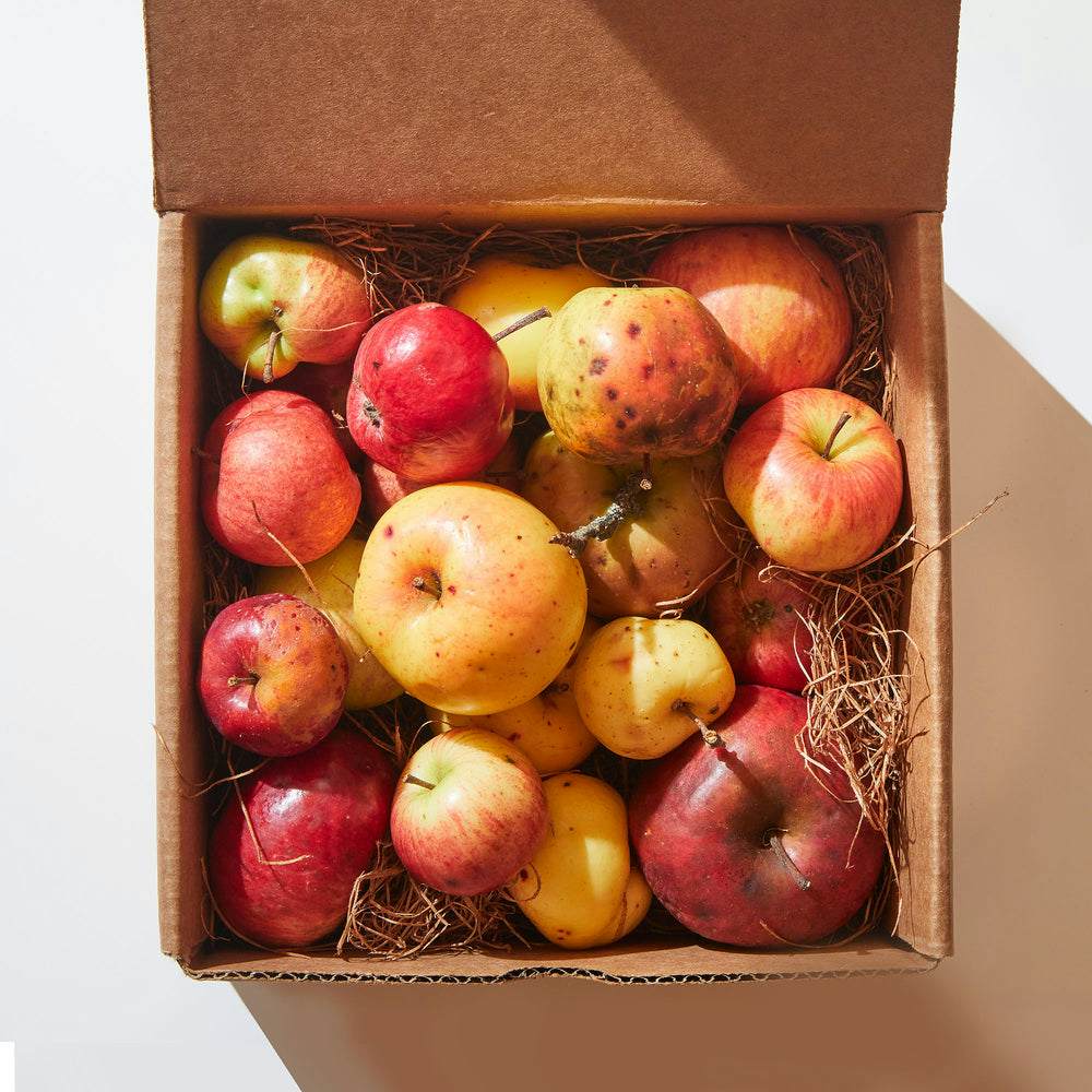 October 1, 2023 - Wild Apple Tasting Box