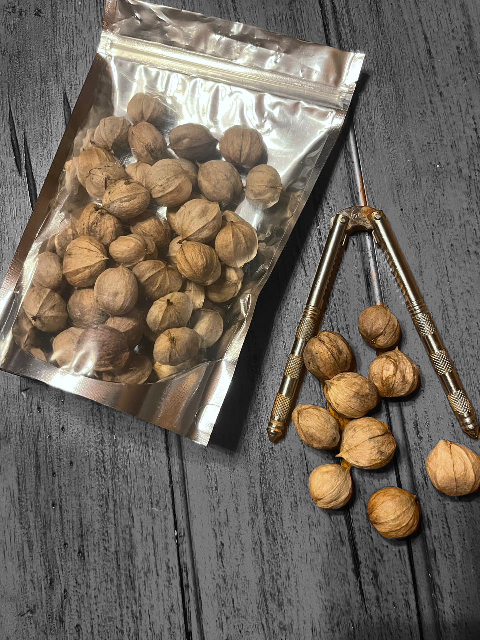 Wild Foraged Shagbark Hickory Nuts | Hand gathered | Woods gathered | In Shell | Pennsylvania 2023